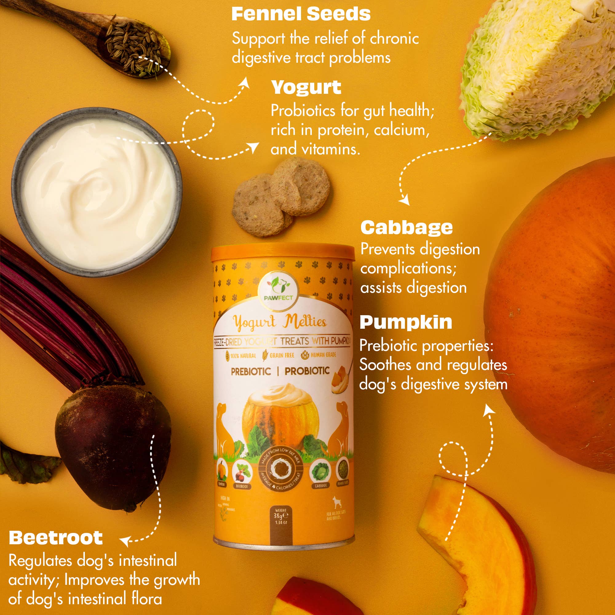 Pawfect Foods - Wholesale Pet Treats - Dog - Pawfect Yogurt Melties Pre and Probiotic Dog Treats with Pumpkin, Beetroot, Cabbage & Fennel Seeds | Healthy Gut | Low Calories | Grain & Gluten Free | Reward or Training Treats (38g/1.34oz)2