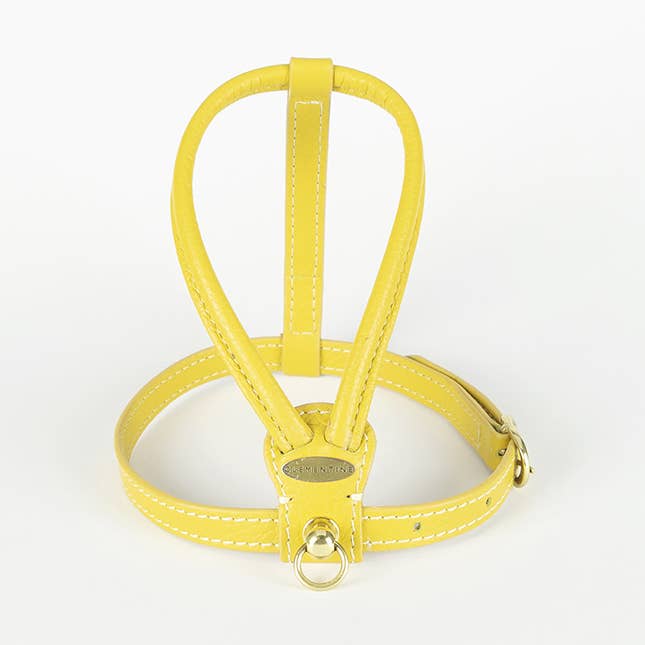 Sitwell Harness - Mustard, Small for wholesale by Clementine est dogs