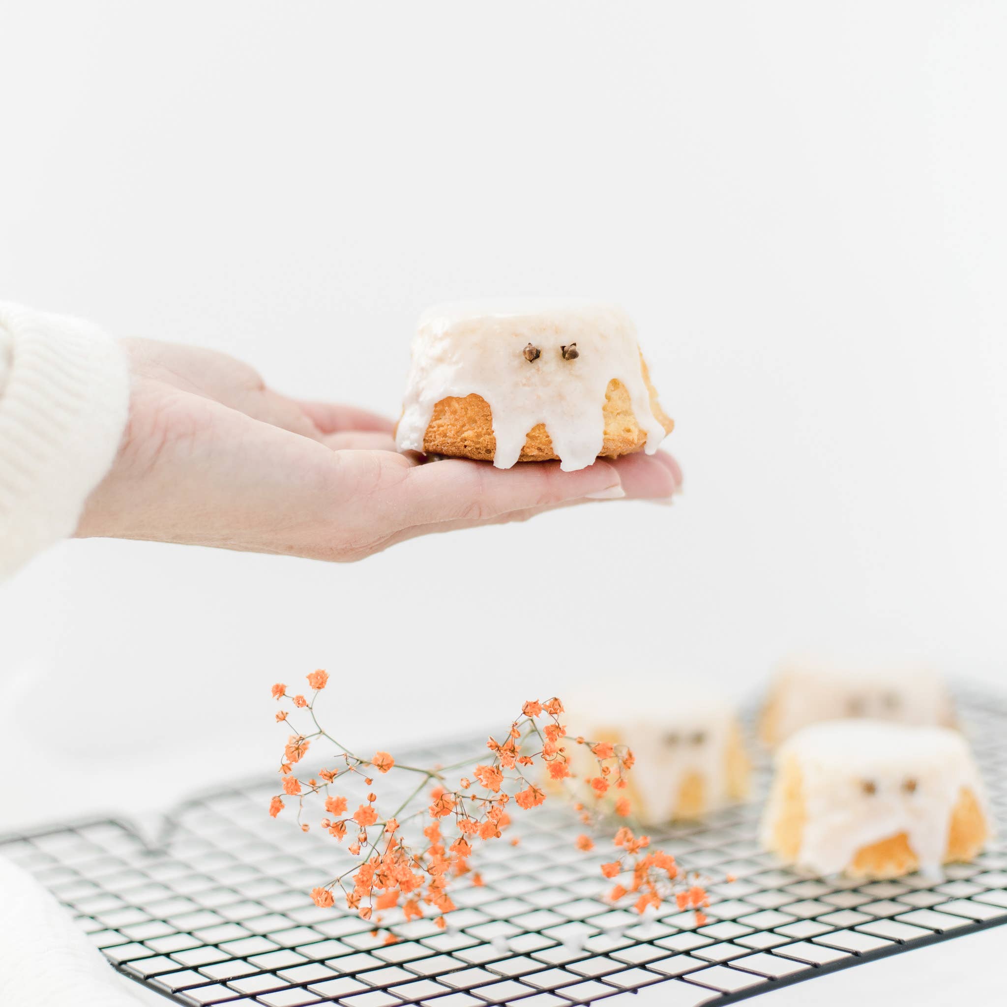 Bake Affair GmbH - Wholesale Cake Mix - Coconut cake mix3