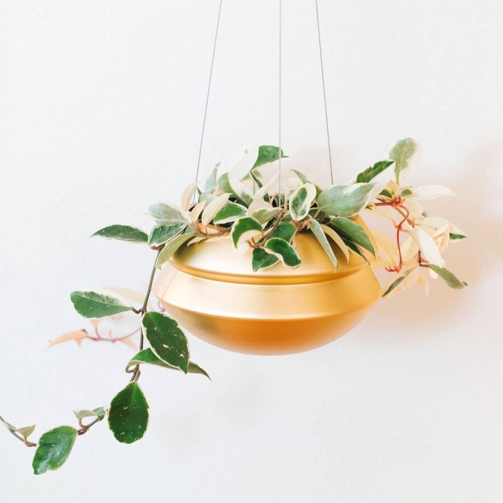 Carter & Rose - Wholesale Hanging Planter - Hanging Planter1