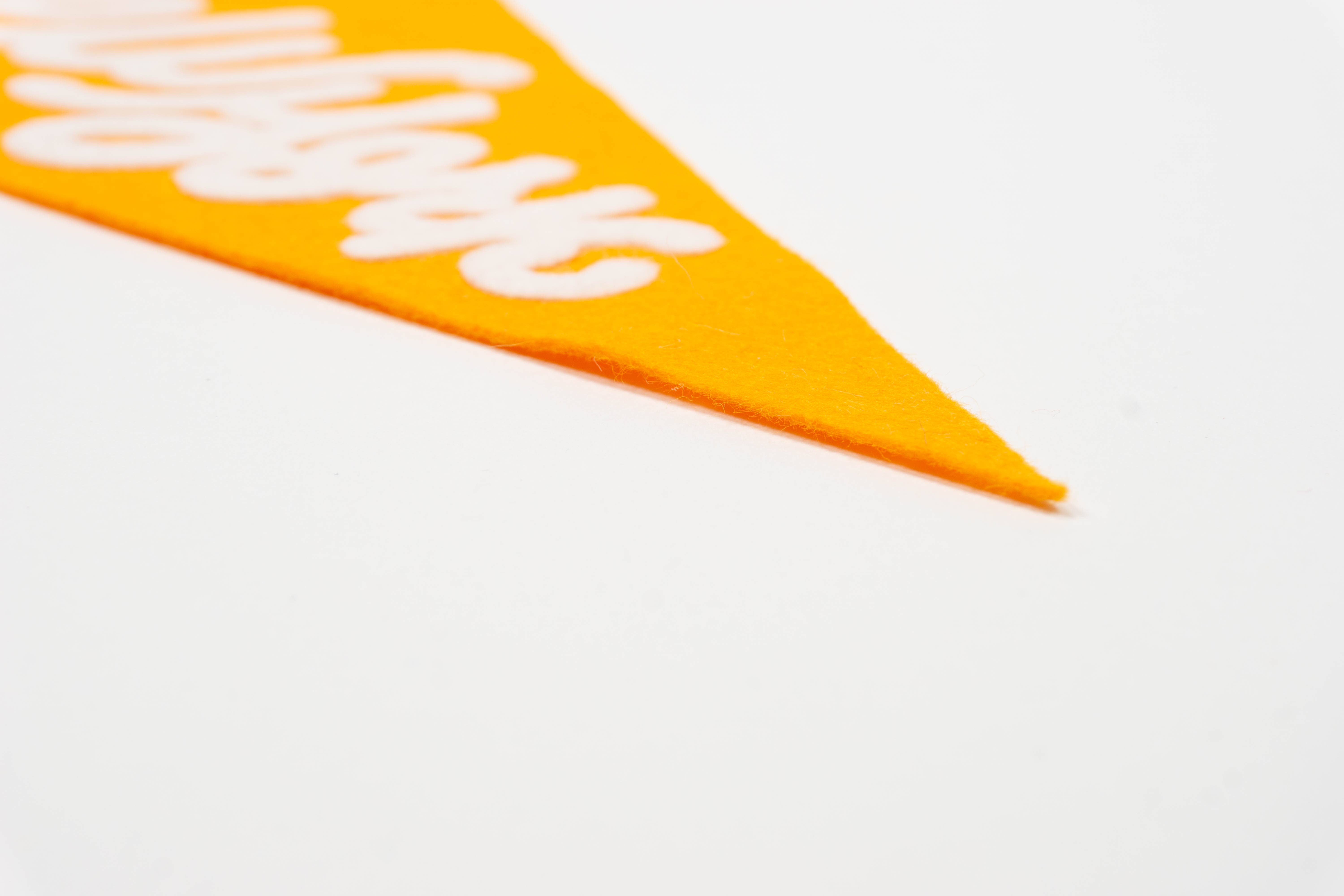 traveldashery - Wholesale Banner - new york pennant29