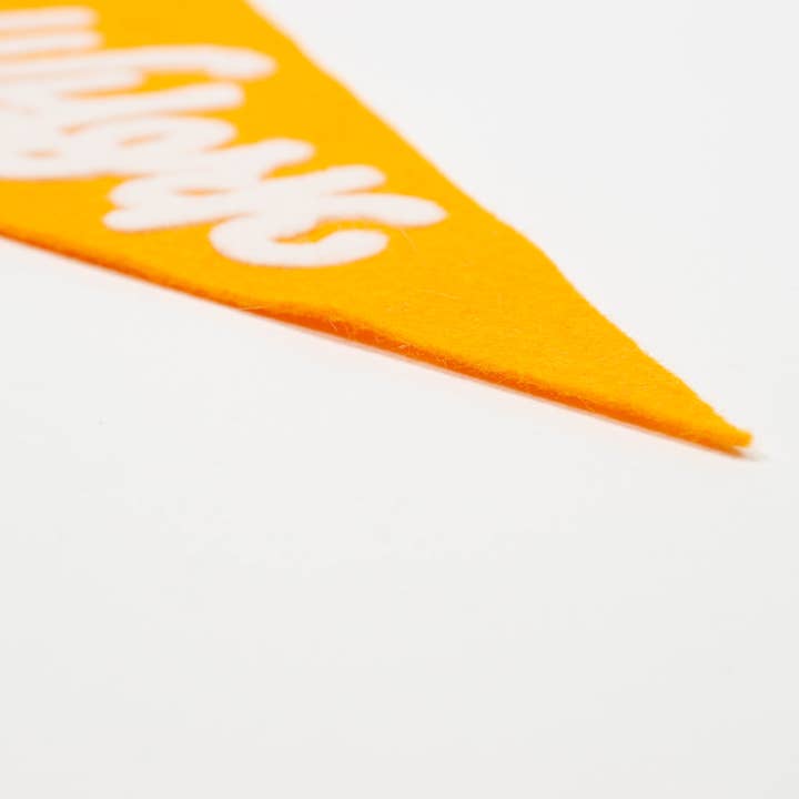 traveldashery - Wholesale Banner - new york pennant29