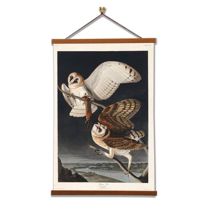 Vintage Banners - Wholesale Art Print - Barn Owl - John James Audubon - Framed Wall Art