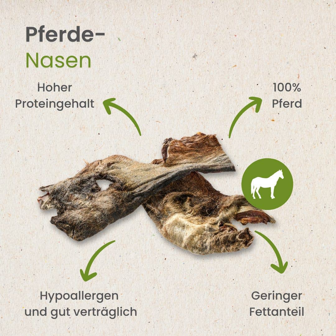 Kauartikel.com GmbH – Couro/osso para cão - Cão por atacado – Narizes de cavalo3