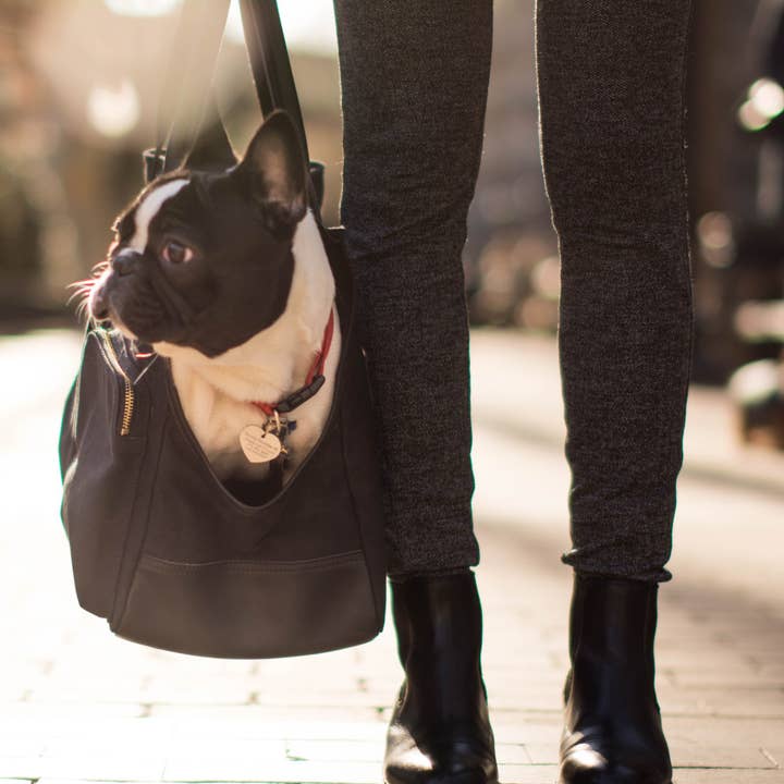 DJANGO - Wholesale Pet Carrier - Dog - Dog Carrier Bag - Black Waxed Canvas and Leather14