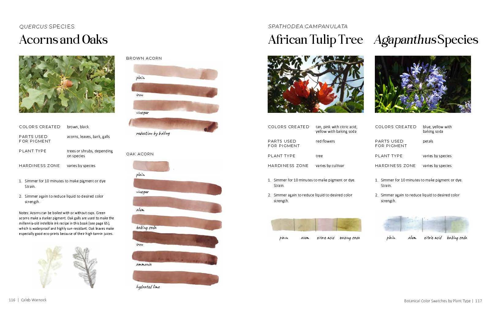 Familius, LLC - Wholesale Crafts, Hobbies & DIY - 1000 Botanical Colors7