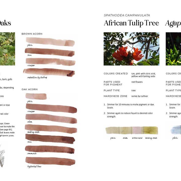 Familius, LLC - Wholesale Crafts, Hobbies & DIY - 1000 Botanical Colors7