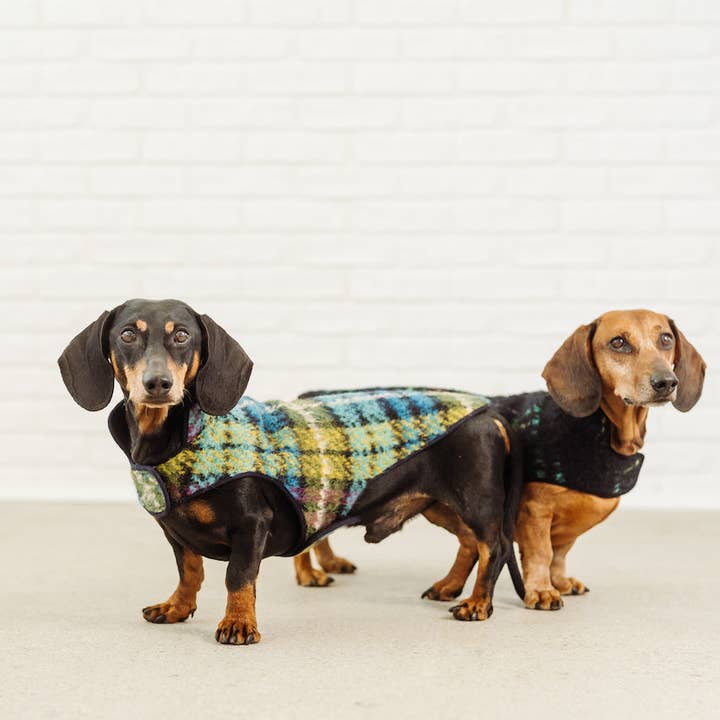 Dachshund Couture - Wholesale Pet Coat - Dog - Dachshund coat Chagall tartan