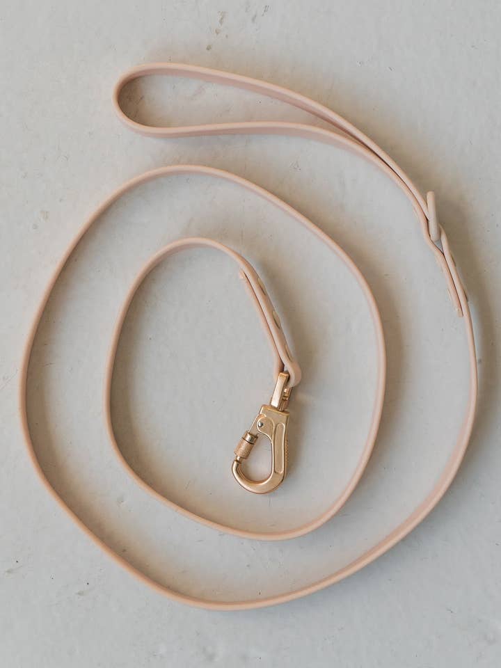 Coleira impermeável para cães em nude por atacado de dexypaws