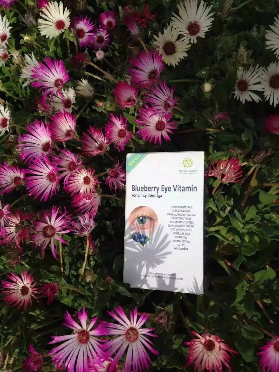 Nordic native pristine - Vente Supplément oral/vitamine - Méga vitamine pour les yeux à la myrtille4