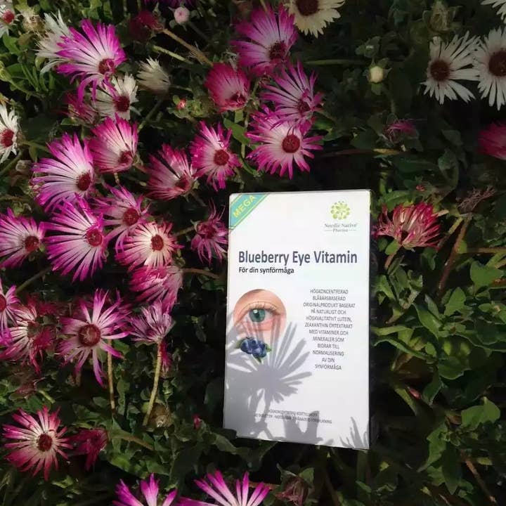 Nordic native pristine - Vente Supplément oral/vitamine - Méga vitamine pour les yeux à la myrtille4