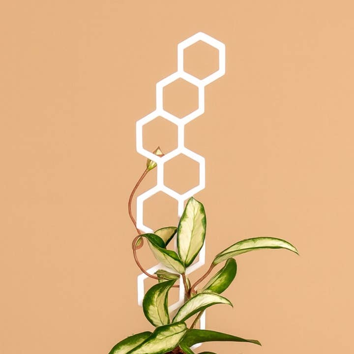 Mini Bee Stalk for wholesale by Honeys Plant Climbers