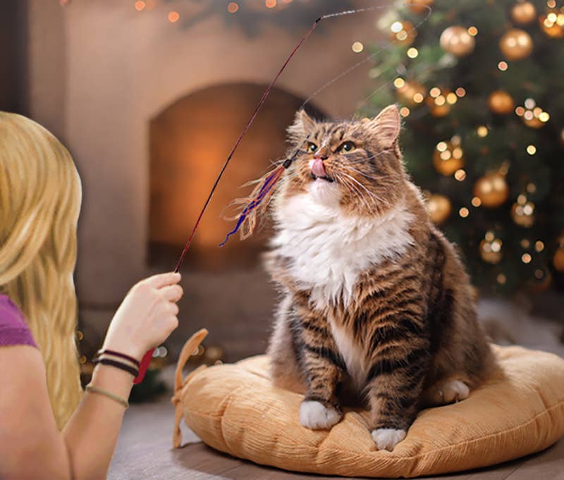 Dezi & Roo - Wholesale Pet Toy - Cat - Wiggly Wand Cat Toy5