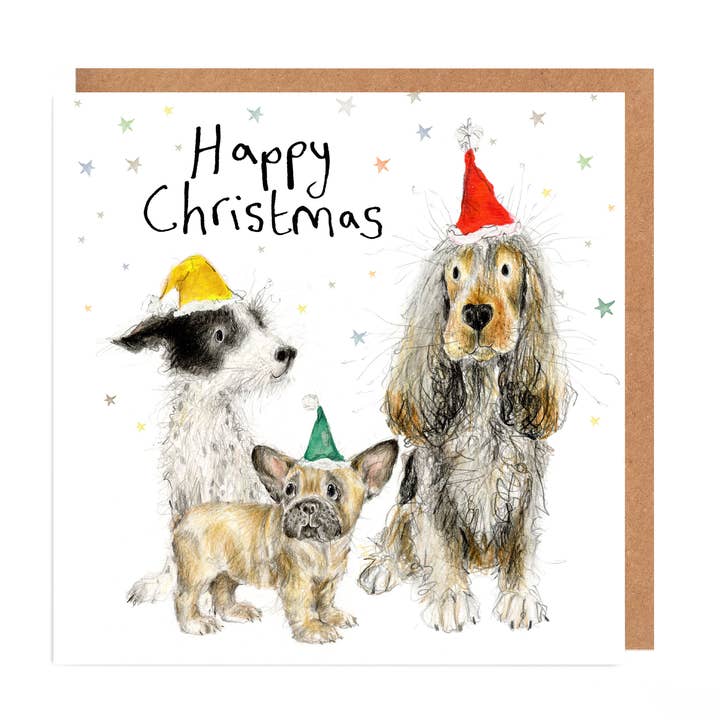 Motley Dog Friends välgörenhets-julkort för wholesale av Catherine Rayner Trading Ltd