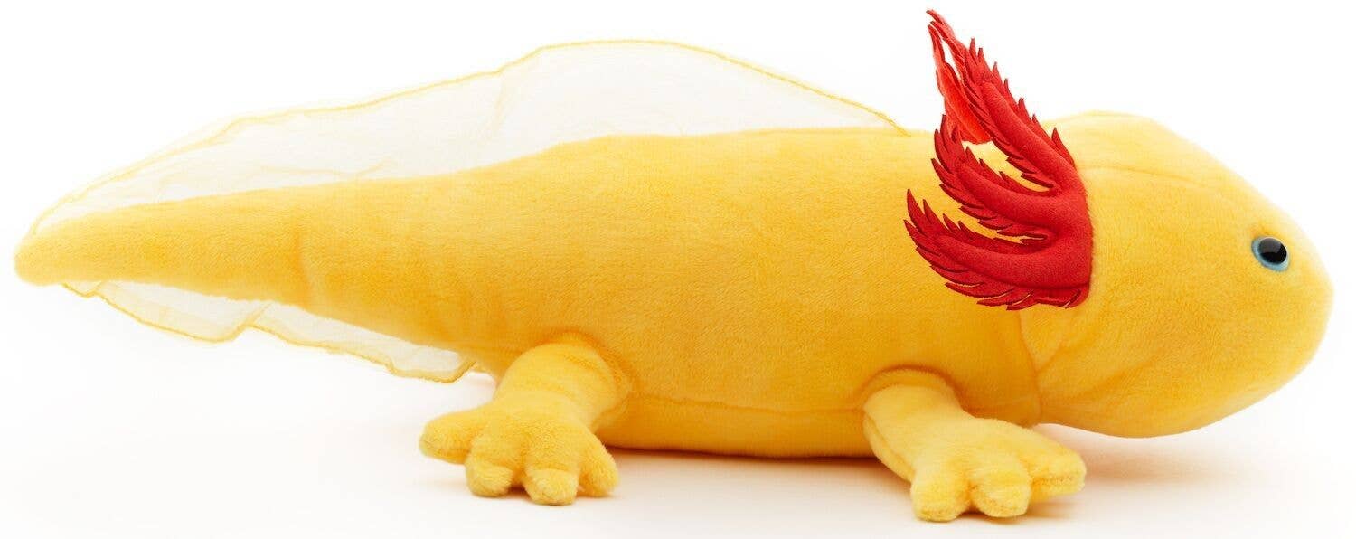 Uni Toys - Wholesale Stuffed/Plush Toy - Kids & Baby -  Axolotl (yellow with blue eyes) - 32 cm cuddly/plush toy2