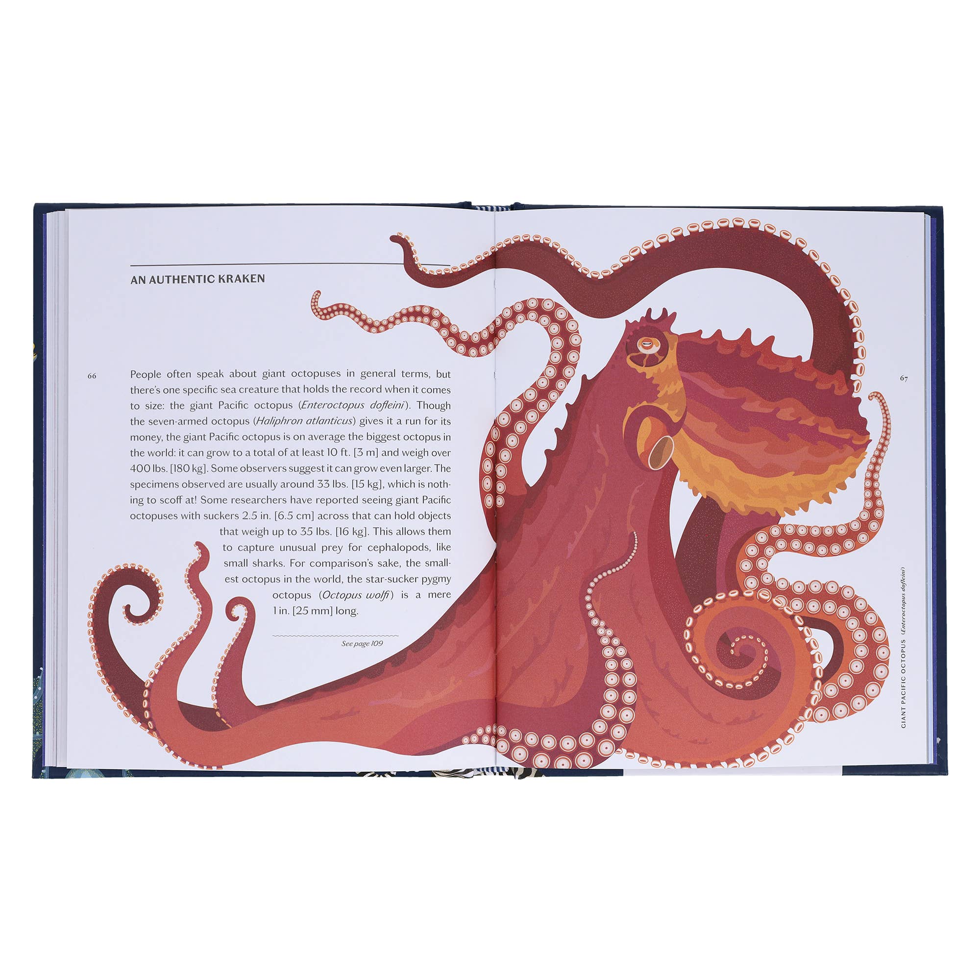 Chronicle Books - Wholesale Nature & Outdoors - Sea Wonders5