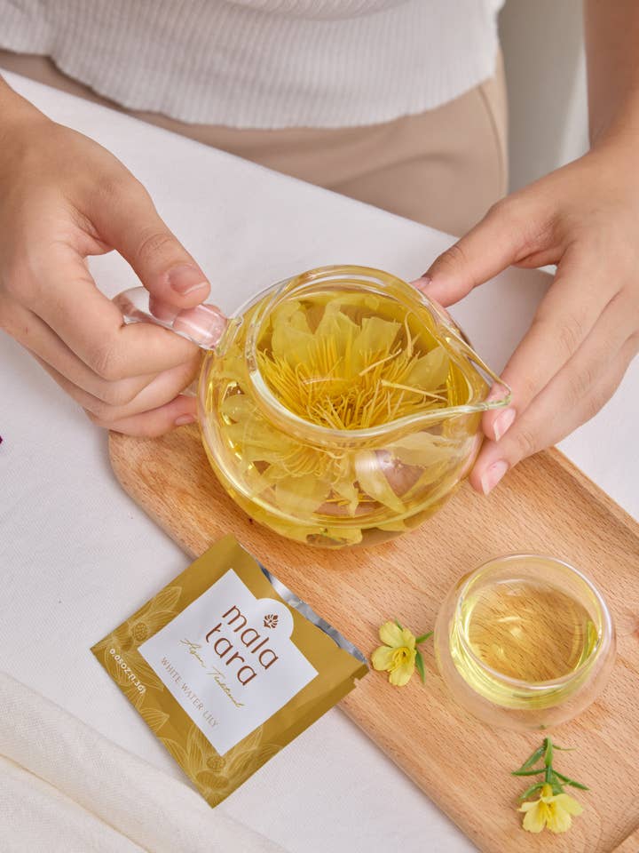 Glass Teapot for wholesale by Mala Tara