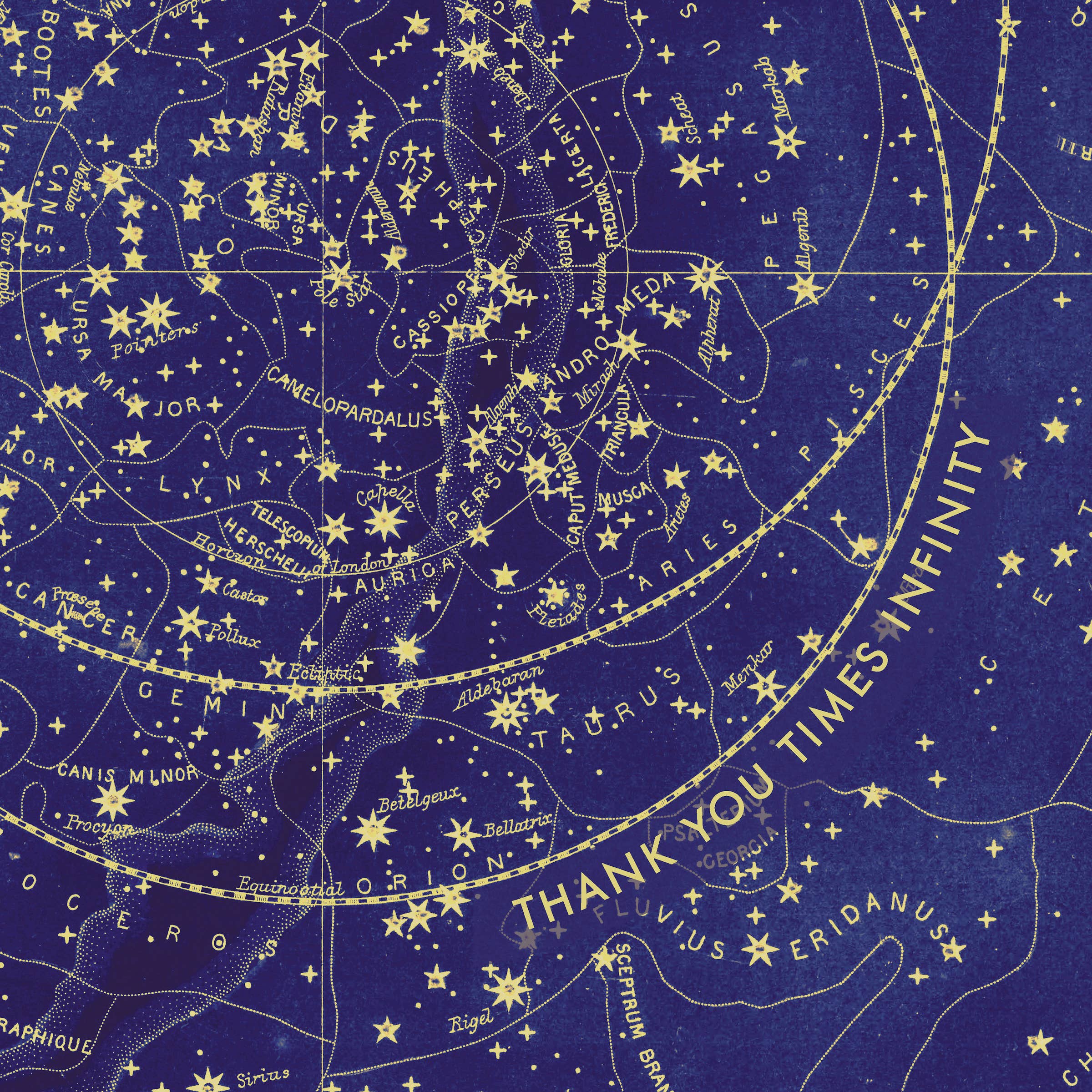 Pictrix Design - Wholesale Thank You Card - "Thank you times infinity" A6 greeting card3