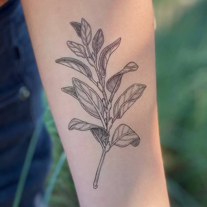 NatureTats - Wholesale Temporary Tattoo - Sage Sprig Temporary Tattoo2