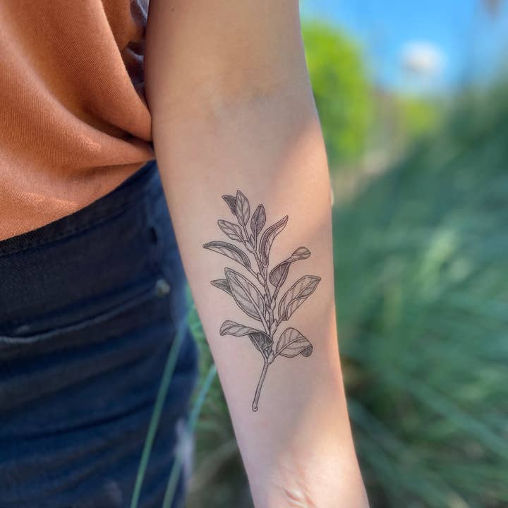 NatureTats - Wholesale Temporary Tattoo - Sage Sprig Temporary Tattoo