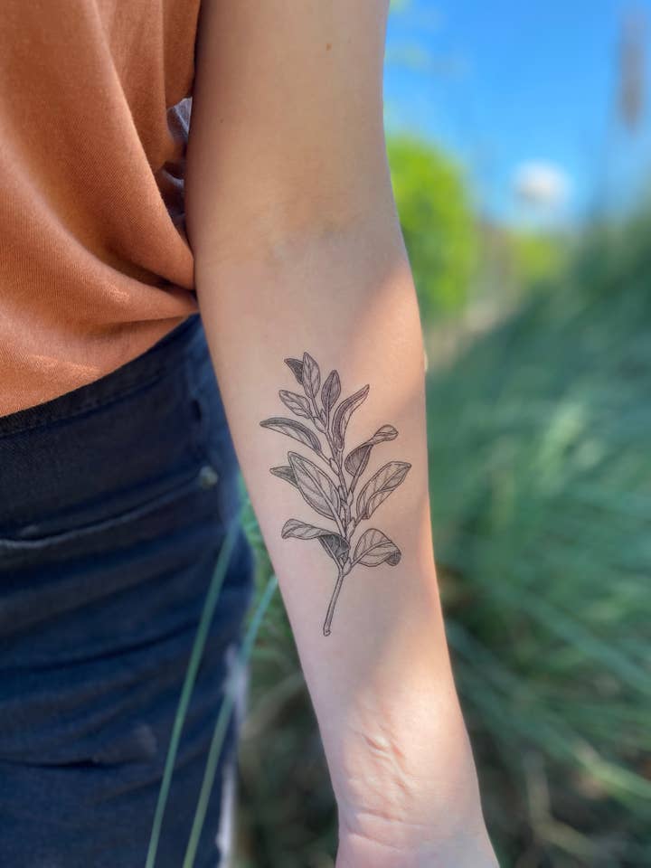 Tatuaje temporal de Sage Sprig para venta al por mayor de NatureTats