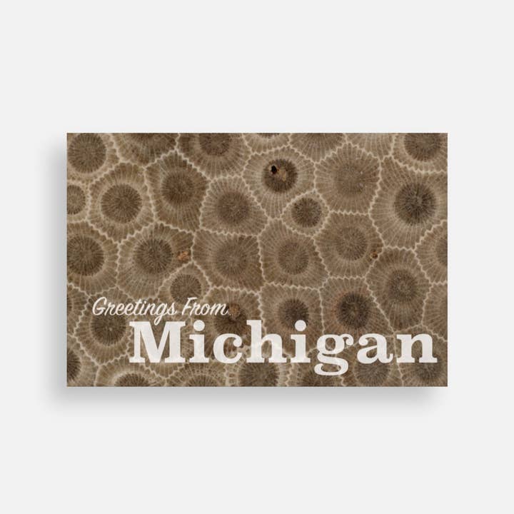 June Apothicarie - Wholesale Postcard - "Greetings From Michigan" Petoskey Stone Postcard