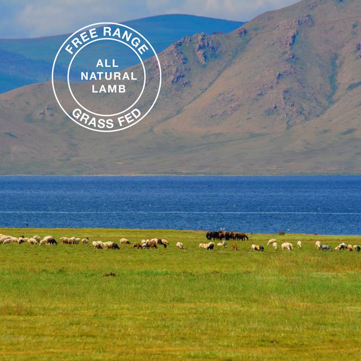 Natural Need - Wholesale Pet treats – Dog - Super Duper - All Natural, Grass-Fed Lamb Liver & Lung Mix4