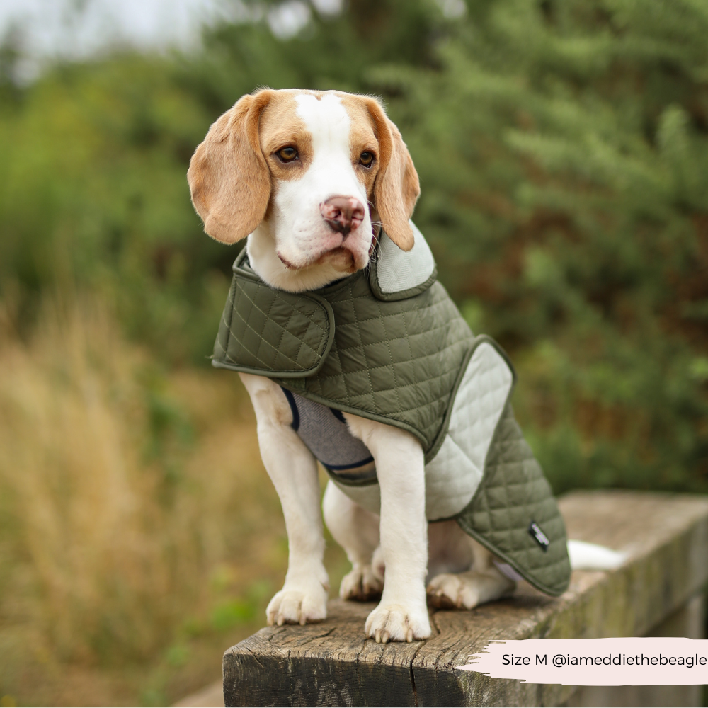 Cocopup London - Wholesale Pet Coat - Dog - LUXE Quilted Dog Coat - Country Khaki11