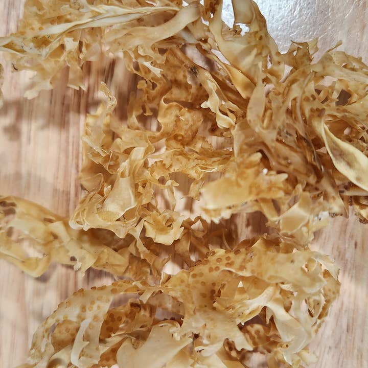 Sea Moss Organics LLC - Wholesale Hair Oil - Hair Grow Premium Sea Moss Oil3