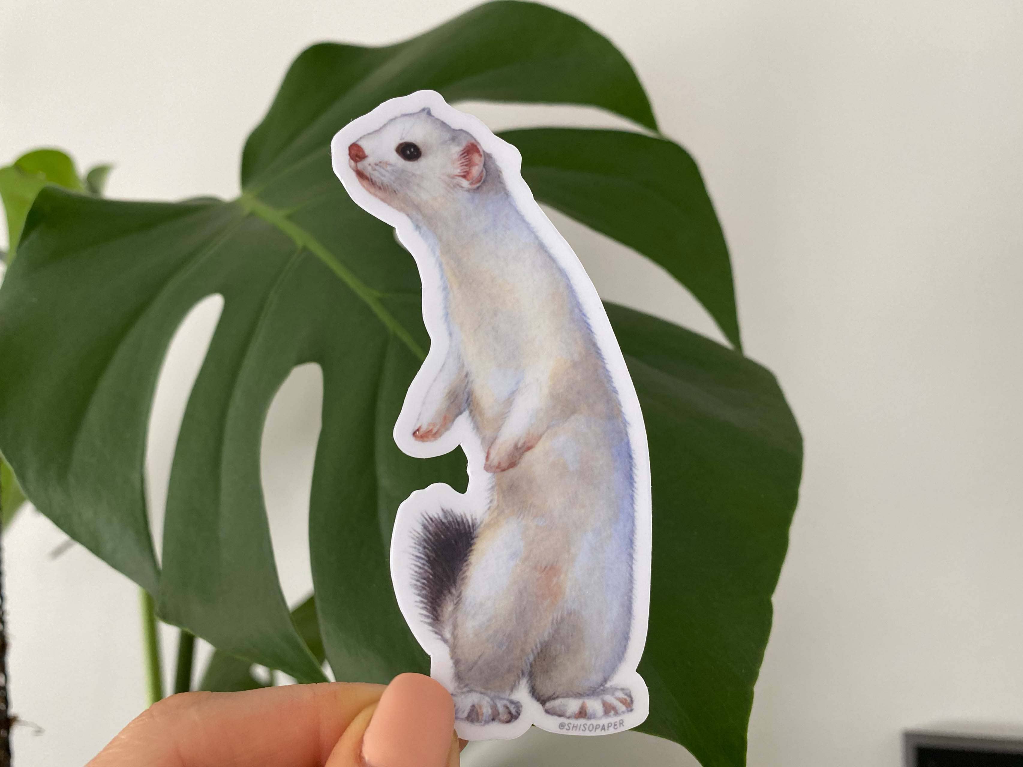 Ermine/Stoat Vinyl Sticker for wholesale by Shiso Paper
