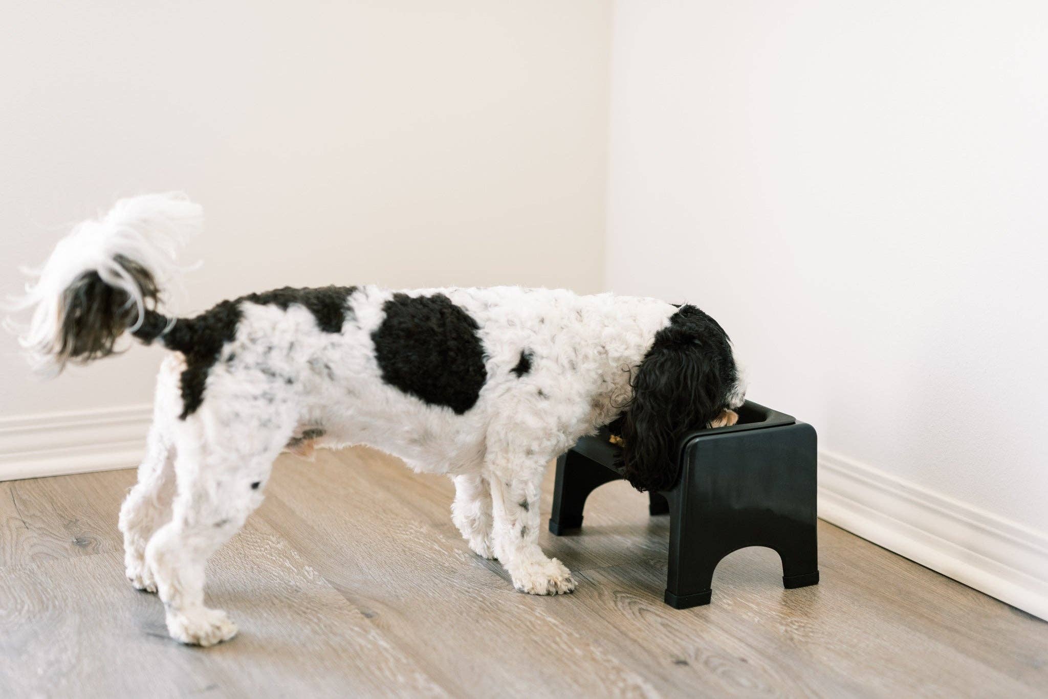 Fluff Trough - Wholesale Pet Bowl - Cat/Dog - Fluff Trough Silicone Insert Set6