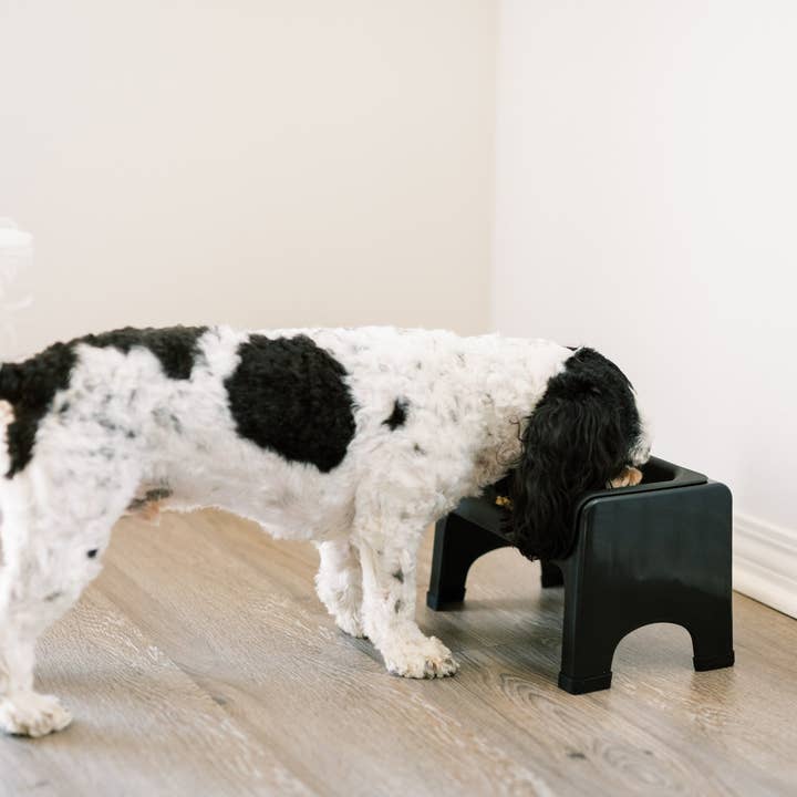 Fluff Trough - Wholesale Pet Bowl - Cat/Dog - Fluff Trough Silicone Insert Set6