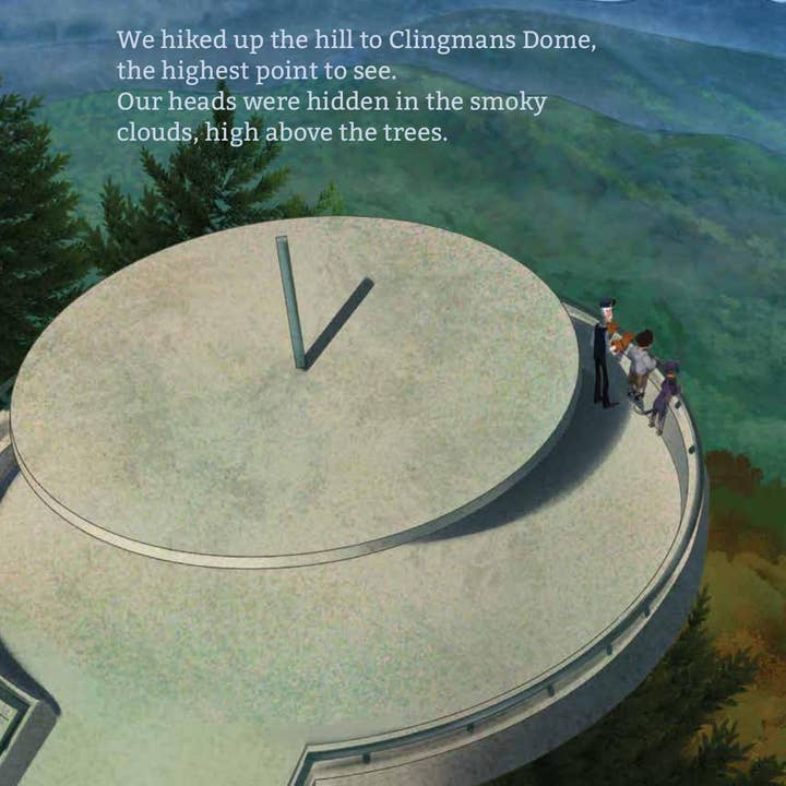 Pelican Publishing - Wholesale Early Reader Book (6-8) - All Aboard, Tennessee!3