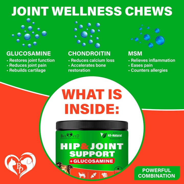 Beloved Pets - Wholesale Pet Supplement - Dog - Dog Hip and Joint Supplement & Arthritis Pain Relief Treats - Glucosamine Chondroitin MSM Soft Chews for Senior Dogs - Natural Medicine & Support Mobility - Turmeric Vitamins for Dysplasia - USA3