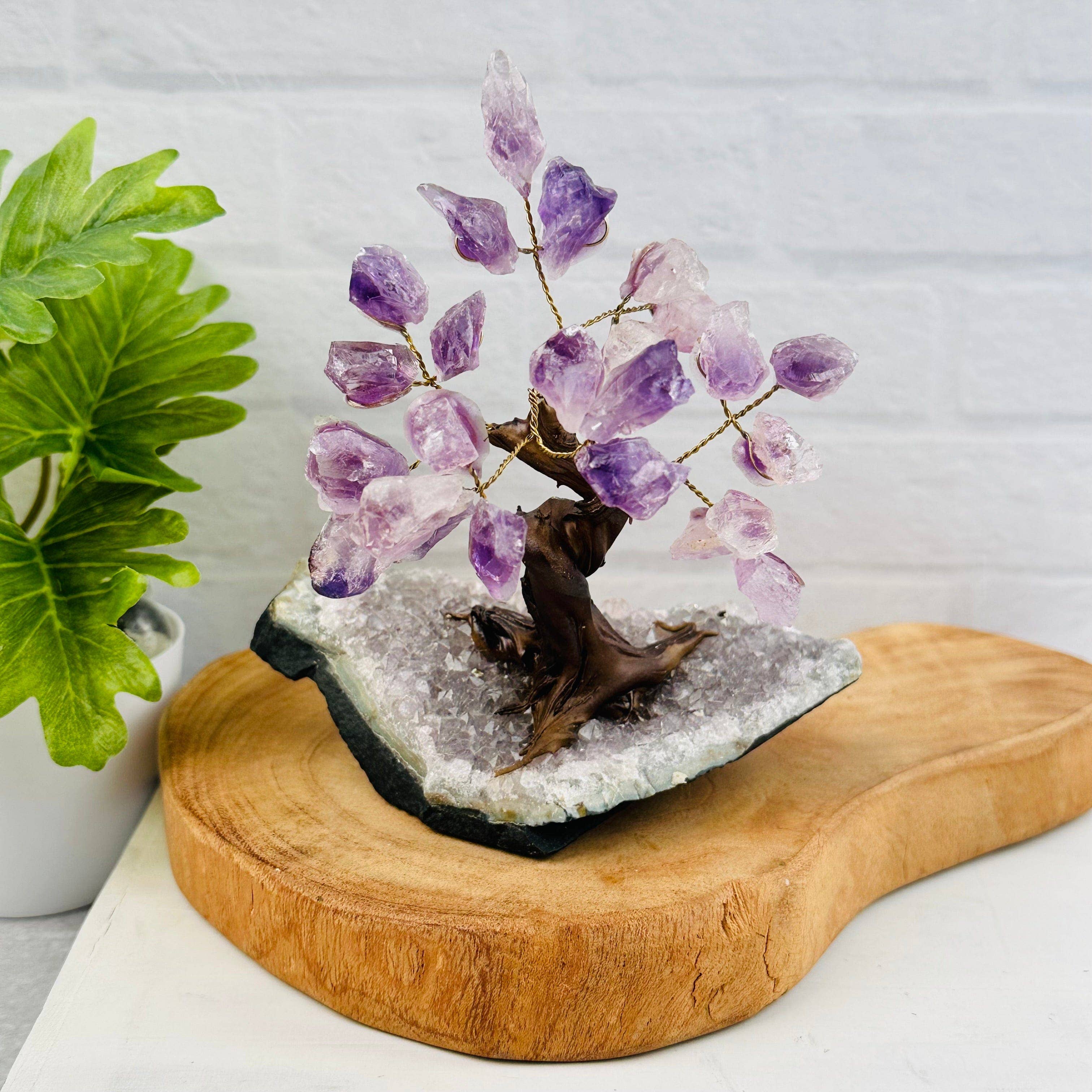 Rock Paradise - Wholesale Spiritual Stone/Crystal - Crystal Trees  - Gemstone Crystal Trees with Crystal Stone B3