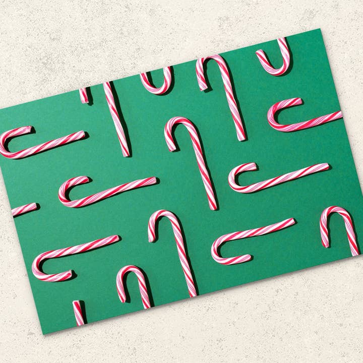 Fotohintergrund im Candy Cane Forest für den Großhandel von Everyday Co.