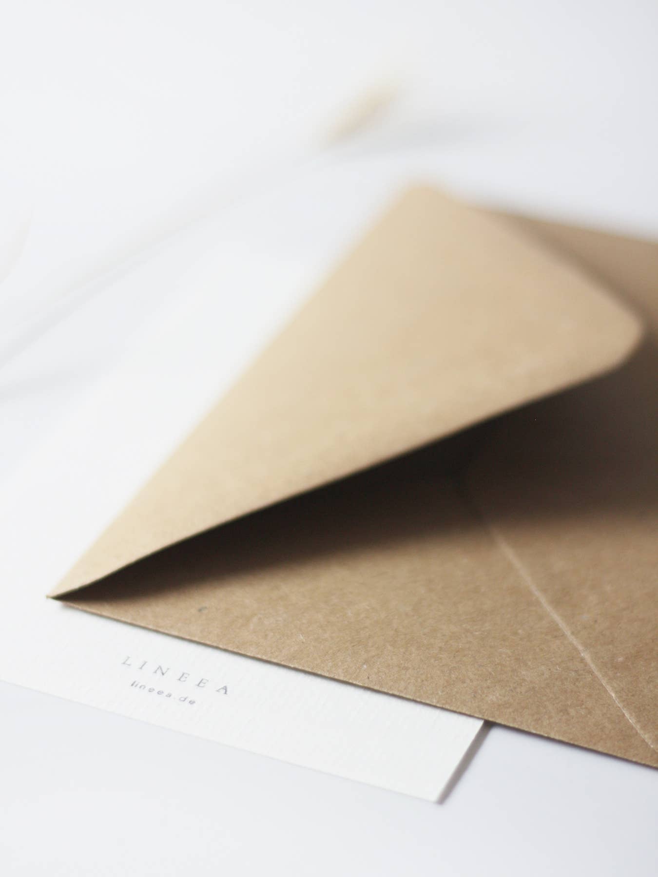 Lineea Studio - Venta al por mayor Tarjetas de felicitación - Tarjeta de hinojo silvestre3