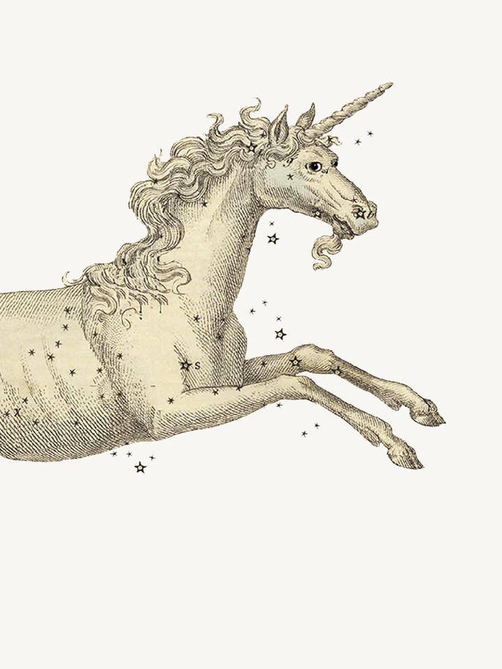 Unicorn• Mini Enclosure Card for wholesale by P. Flynn Design / Phun House