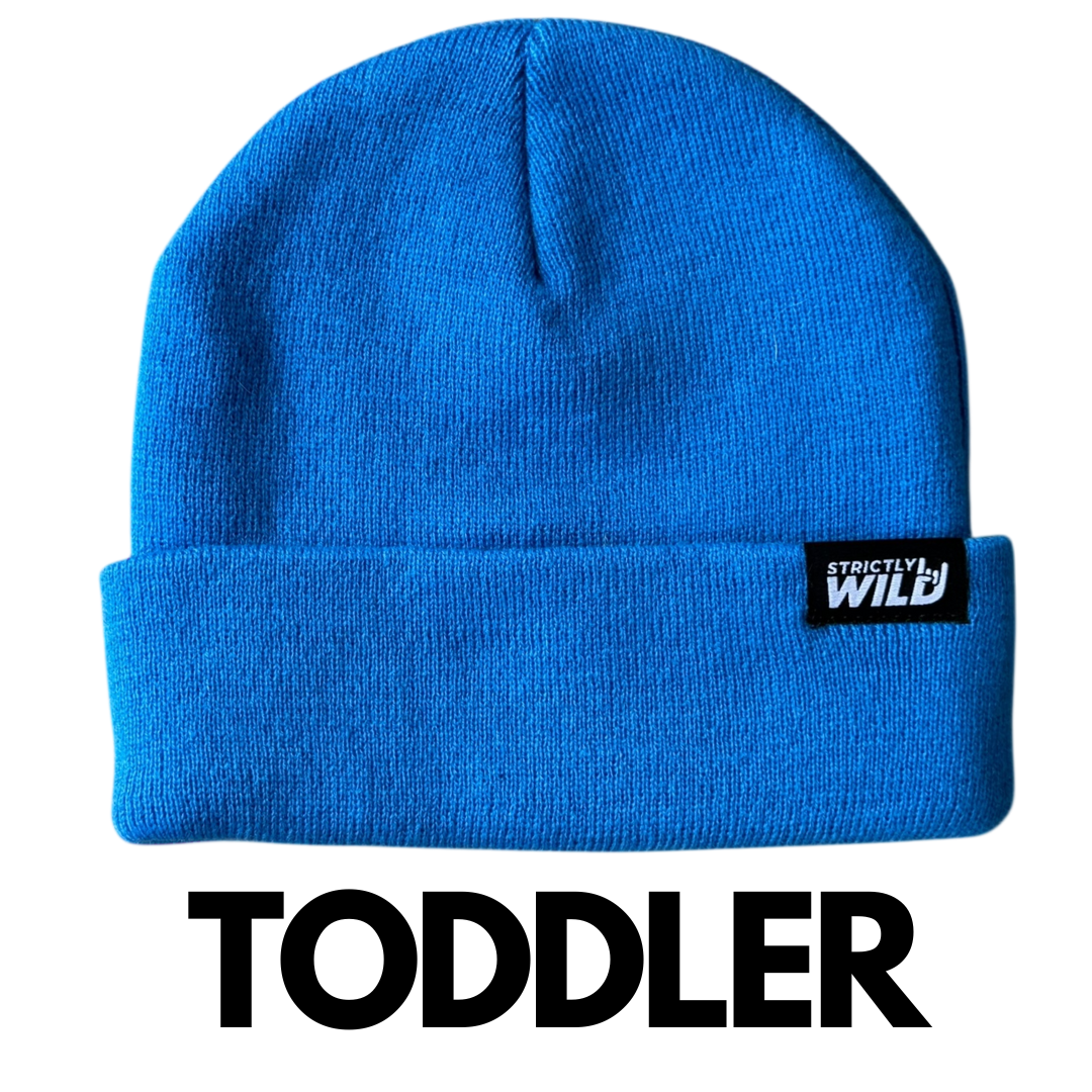 Strictly Wild - Wholesale Beanie - Kids - Blue Blitz Beanie2