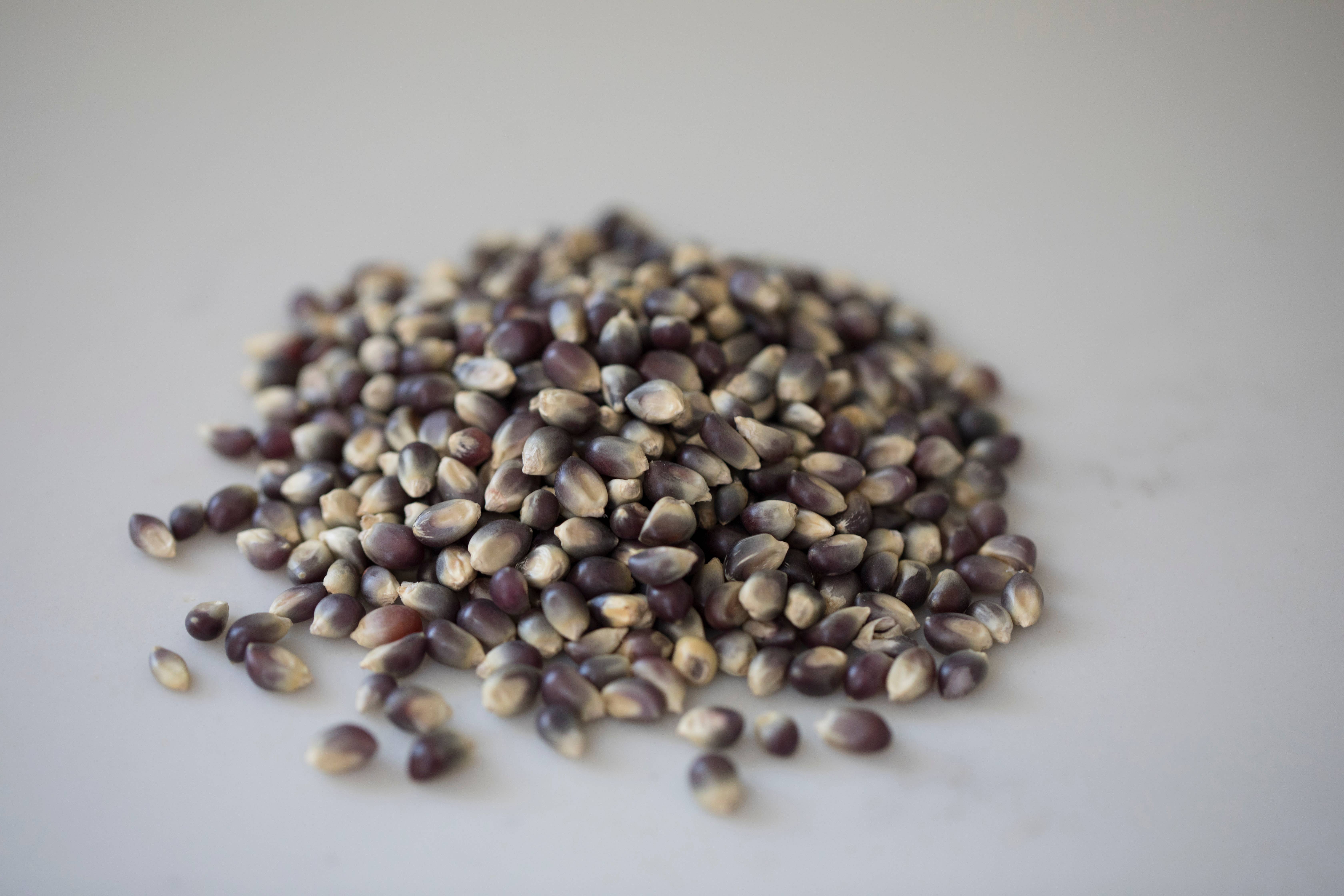 Amish Country Popcorn - Wholesale Popcorn - 4oz Bag of Blue Popcorn2