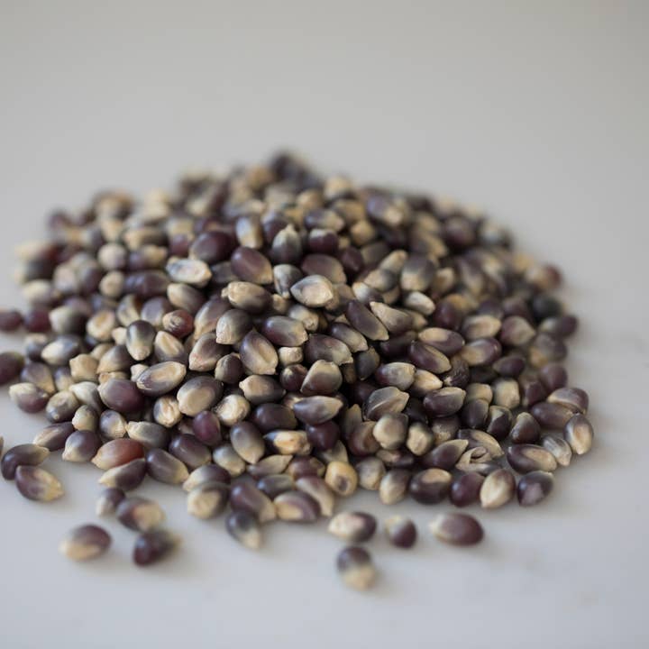 Amish Country Popcorn - Wholesale Popcorn - 4oz Bag of Blue Popcorn2