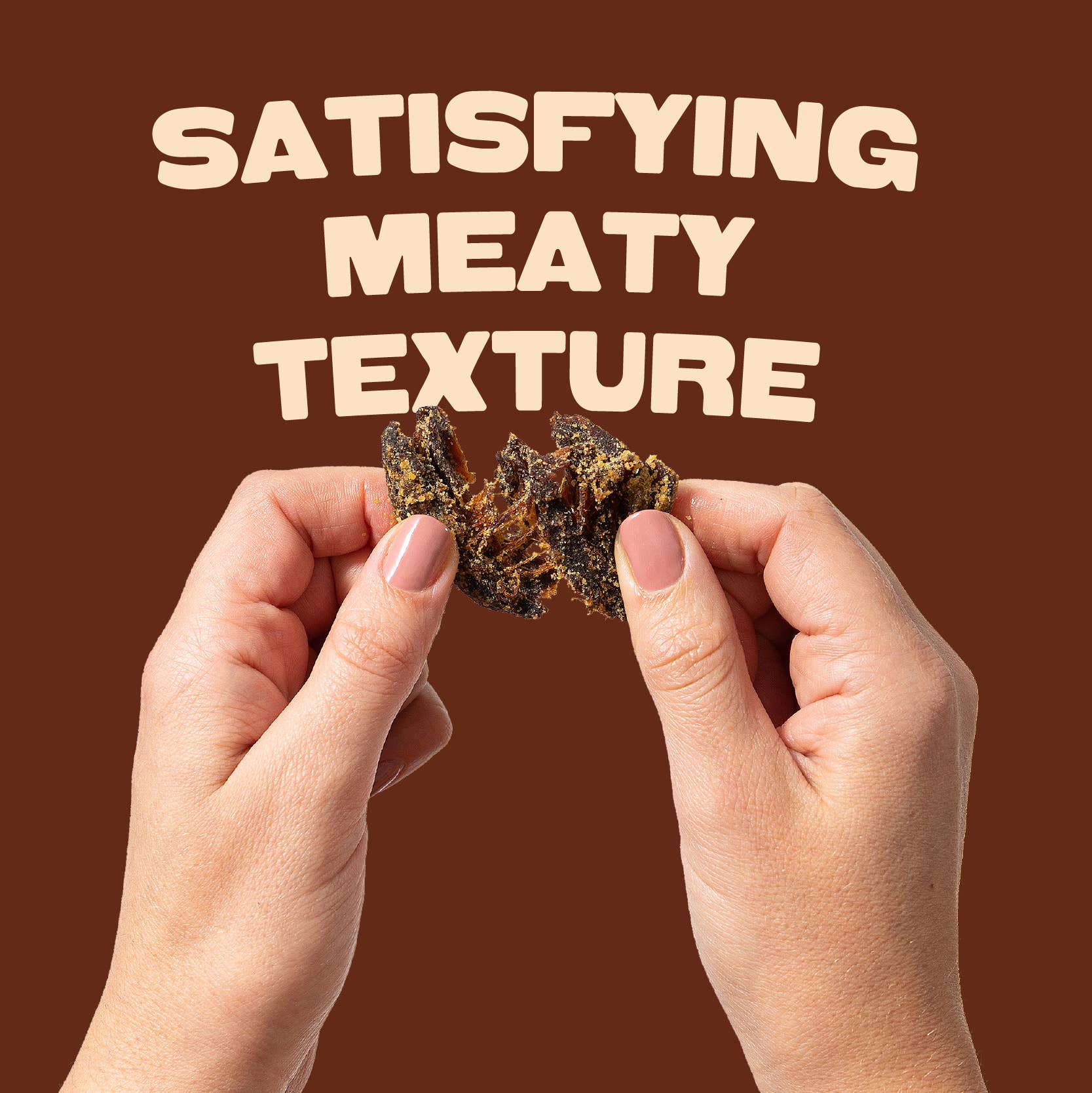 Pan's Mushroom Jerky - Wholesale Jerky - Pan's Mushroom Jerky - 2.2oz Teriyaki1