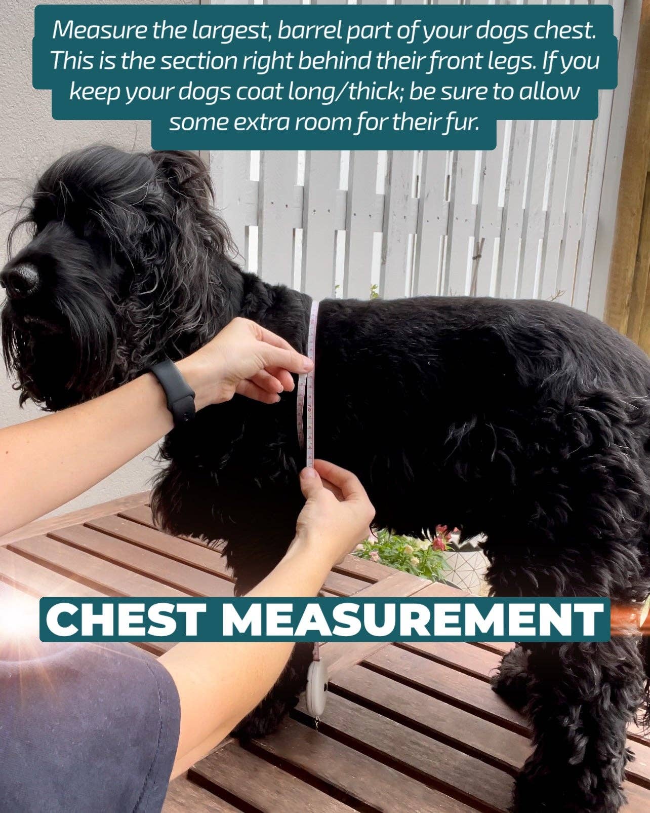 Dizzy Dog Collars - Wholesale Tuig voor huisdieren - Hond - HONDENTUIG - Galaxy - Verstelbaar Hals Tuigje3