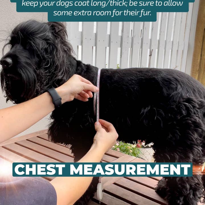 Dizzy Dog Collars - Wholesale Pet harness – Dog - DOG HARNESS | Sherbet Gingham | Neck Adjustable Dog Harness5