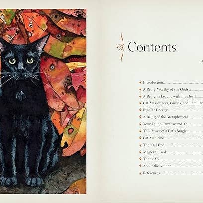 Texas Bookman - Vendita all'ingrosso Libro - Adulti - Magia del Gatto