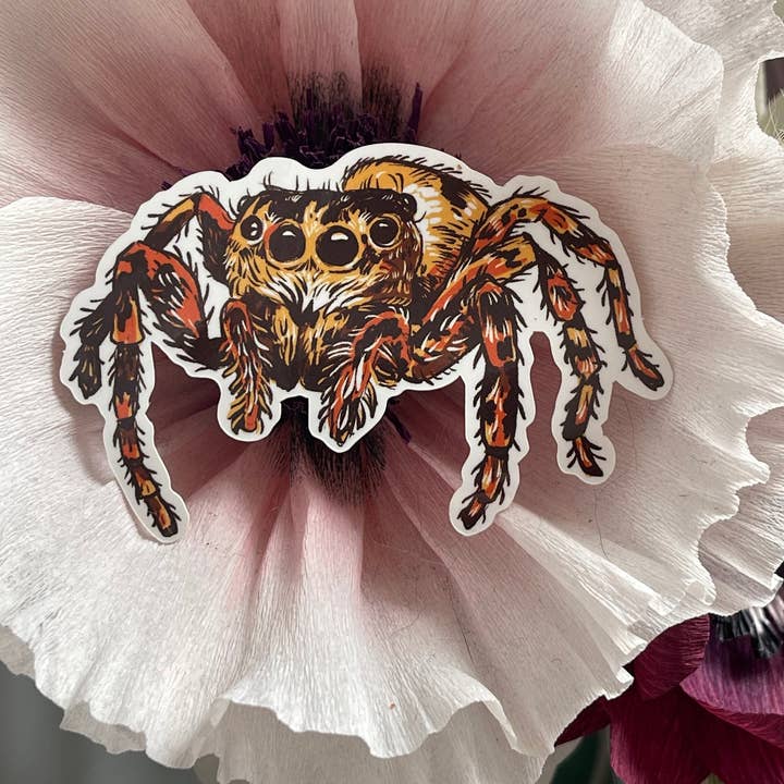 Baileys General - Wholesale Sticker - Jumping Spider Sticker2