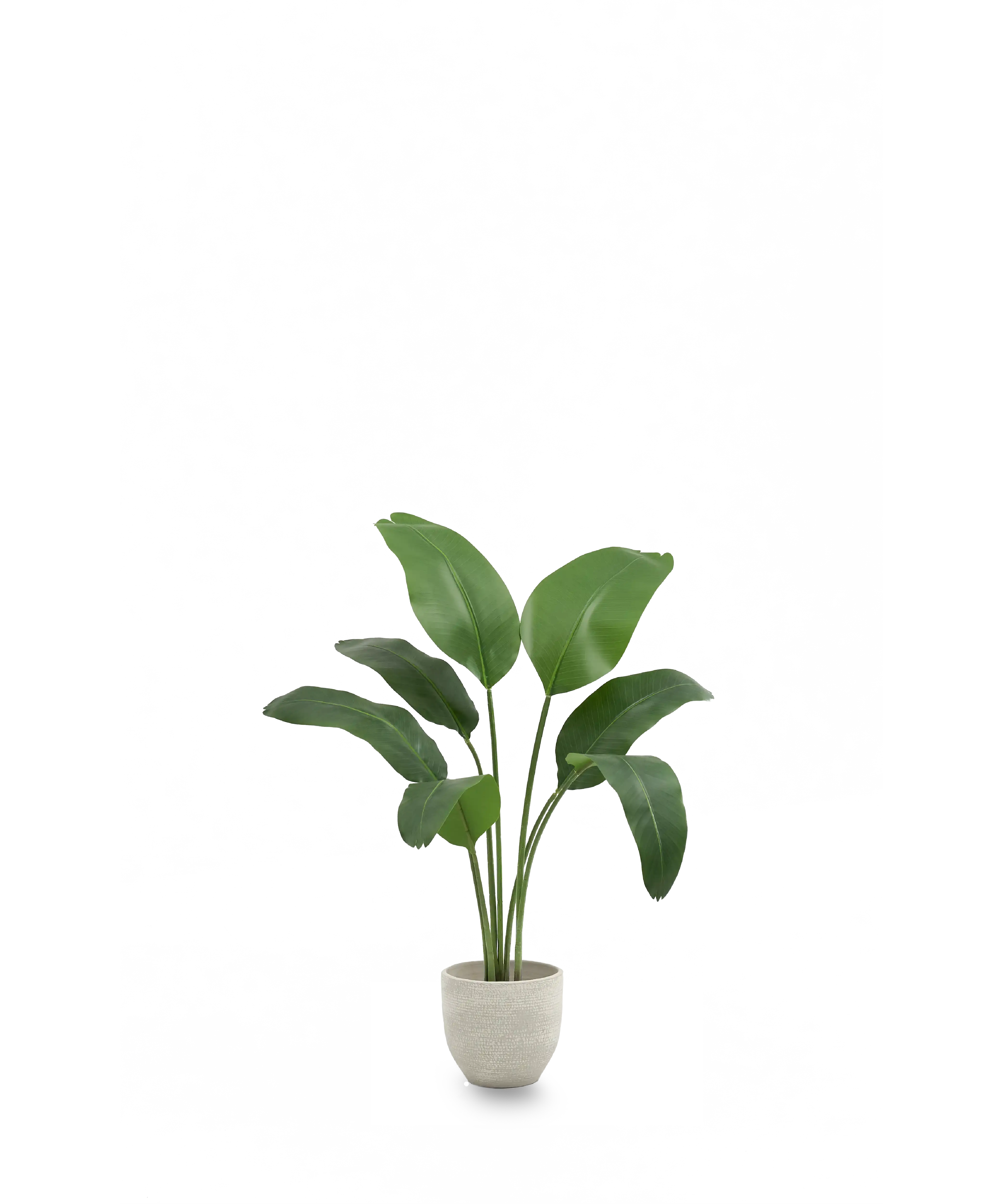 Maia Shop – wholesale Konstgjord växt – Konstgjord paradisfågel 120 cm5