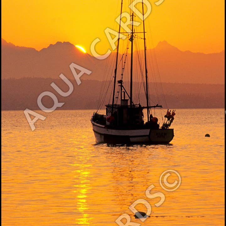 1281 - Estate a Penn Cove per la vendita all'ingrosso da parte di Aqua Cards