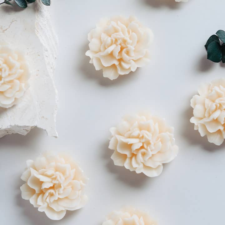 Luceria Candle Co. - Wholesale Jar/Filled Candle - Carnation Candle (White) – Coconut Soy Wax
