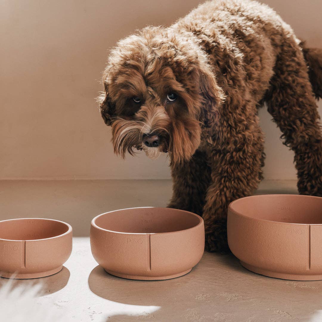 PINO – Engroshandel Kæledyrsskål – Hund – Klassisk skål42